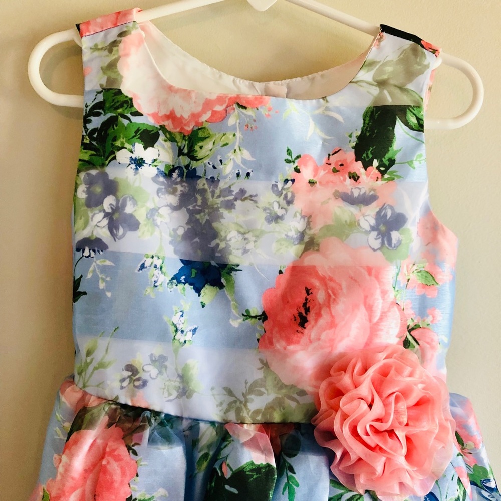 Jona Michelle Beautiful Floral Striped Dress